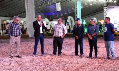 Expo Girolando 2024 é aberta oficialmente em Barra Mansa